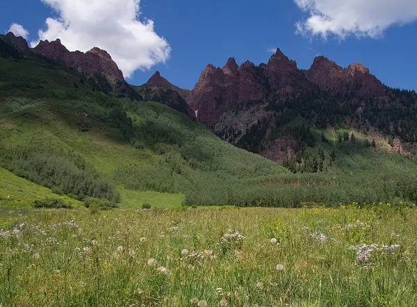 The red Maroon Bells peaks above a green summer meadow near Aspen