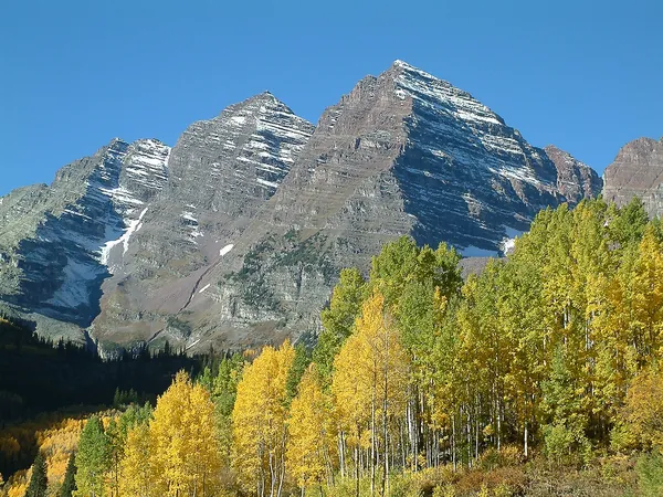 Golden aspen trees below the snow-streaked Maroon Bells