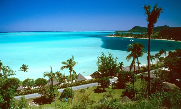 Palms and turquoise water at Matira Beach, Bora Bora