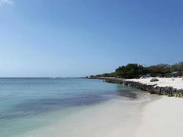 White sand and clear turquoise water at Eagle Beach, Aruba