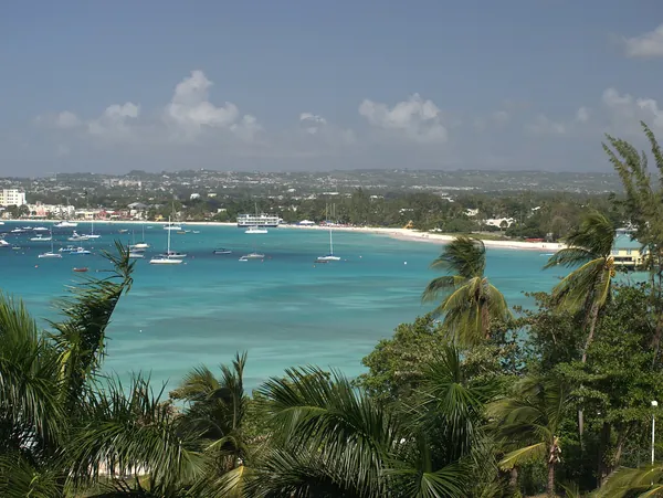 Palms framing the turquoise water of Carlisle Bay, Barbados