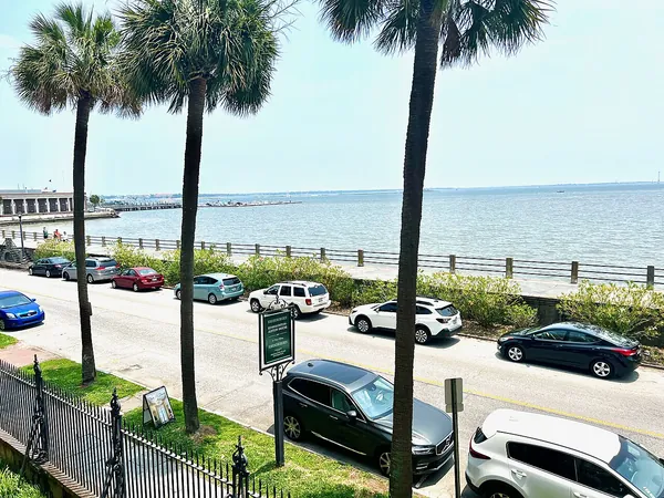 Palm trees along the waterfront at the Battery in Charleston