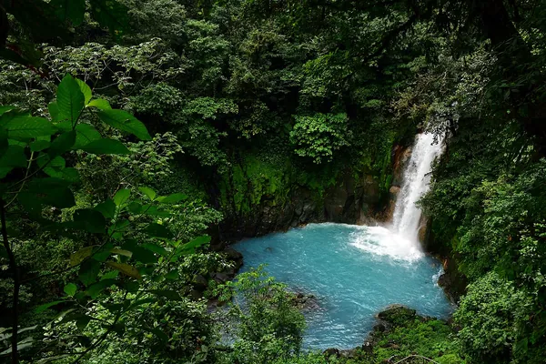 Bright blue waterfall in Tenorio Volcano National Park, Costa Rica