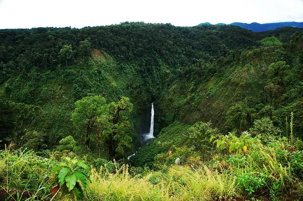Waterfall in the rainforest near the Sarapiquí River, Costa Rica