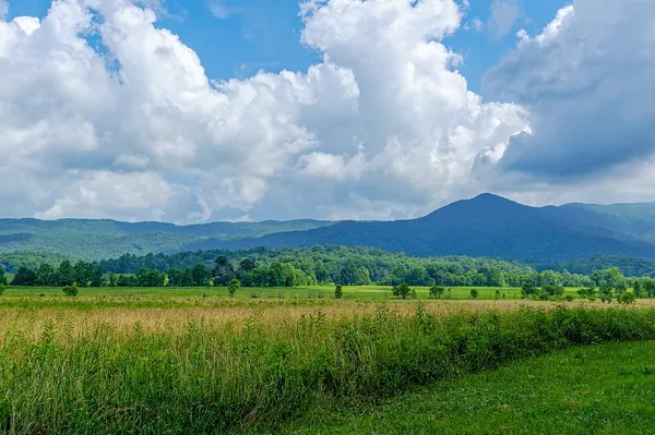 Green meadows and blue mountains in Cades Cove, Great Smoky Mountains National Park