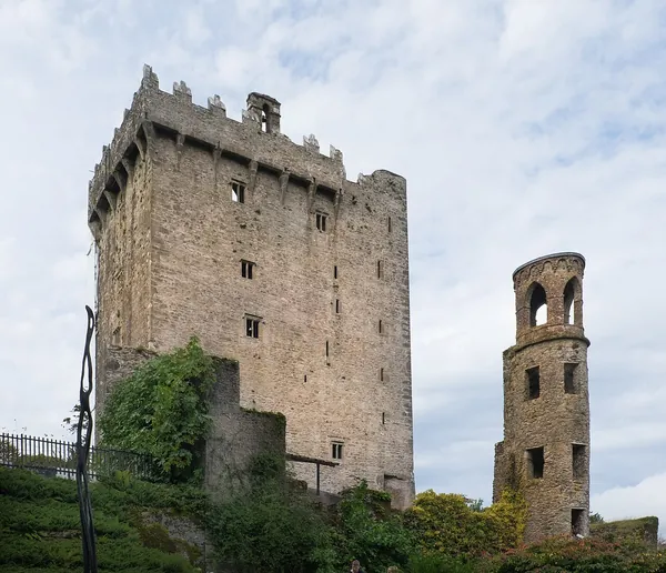 Blarney Castle rising above green grounds in County Cork