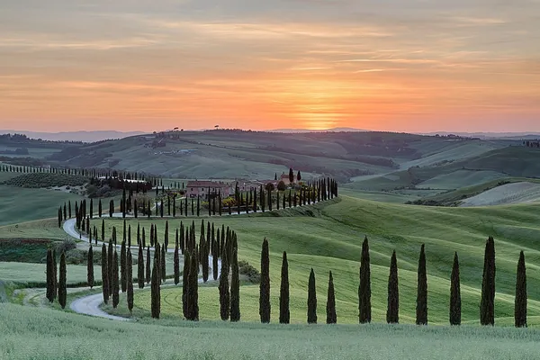 Cypress tree alley at sunset in the Tuscan countryside