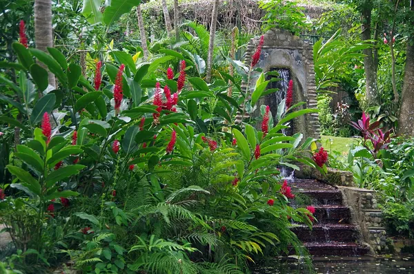 Tropical flowers at Konoko Falls & Park, Ocho Rios