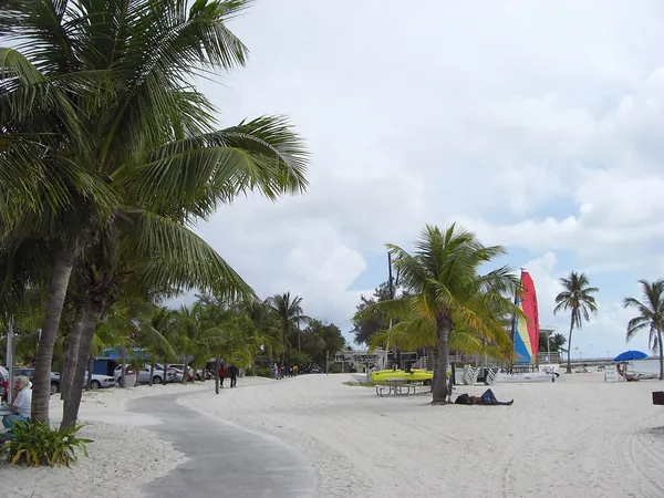Palm trees on a sunny Key West beach with a sailboat behind