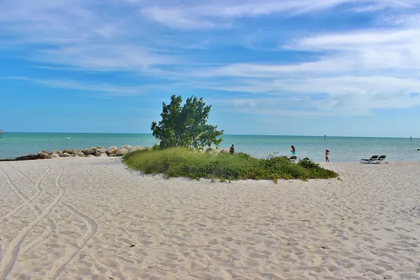A small island of sea grape bushes on white sand and blue water in Key West