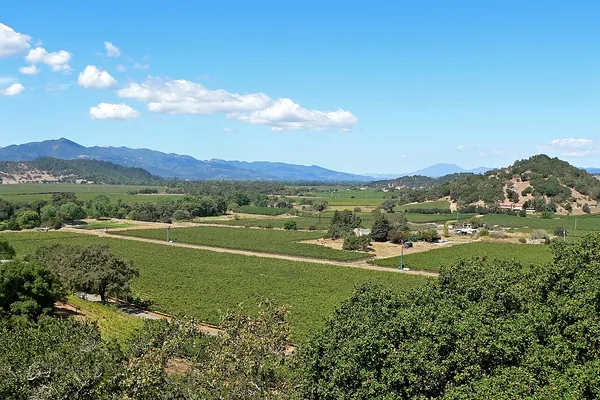 Patchwork of vineyards across the Napa Valley floor, looking northwest