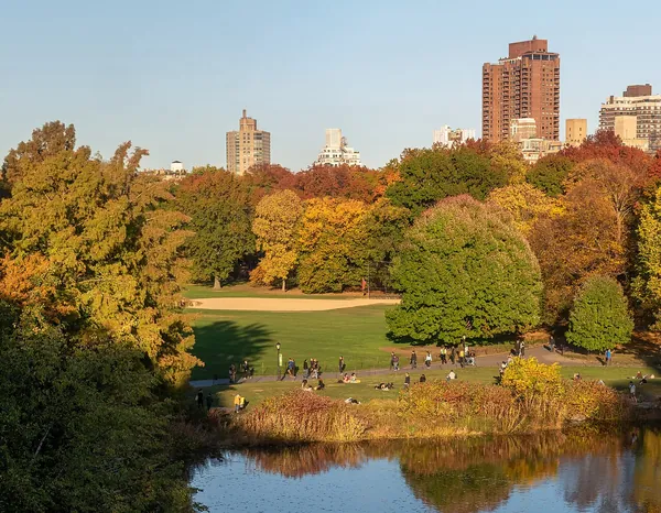 Golden autumn trees and lawns in Central Park with Manhattan buildings behind