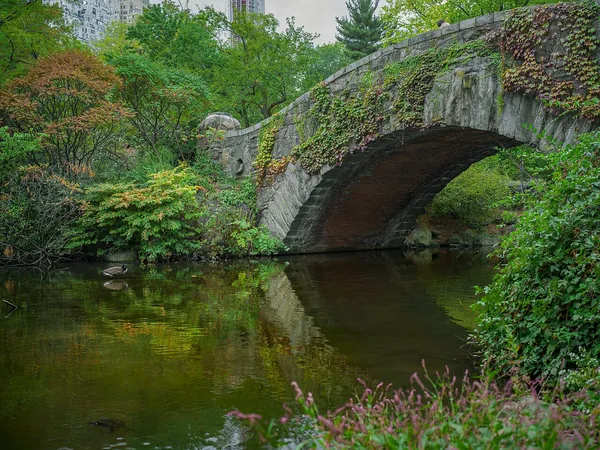 A stone arch bridge over a green, tree-lined stream in Central Park