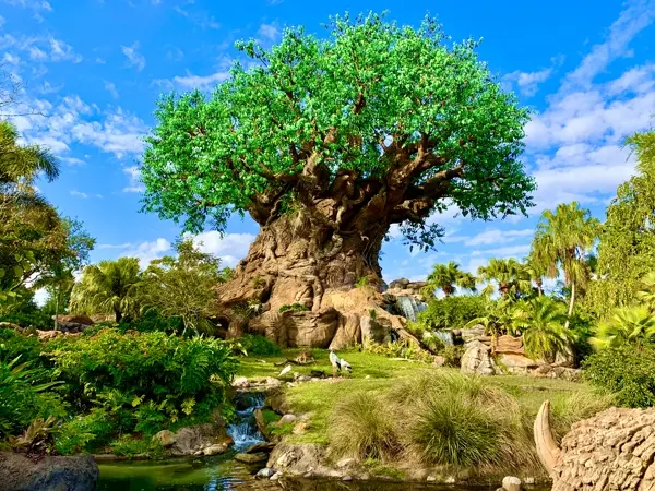 The Tree of Life at Disney's Animal Kingdom