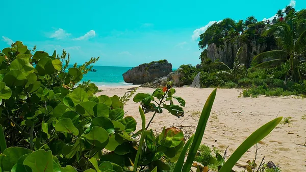 Palms and turquoise water on the beach at Tulum