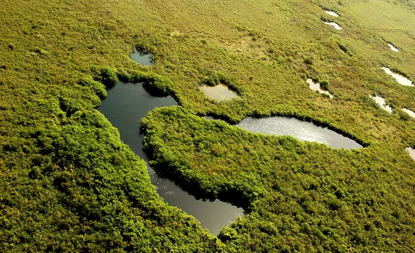Aerial view of cenotes in the jungle of the Riviera Maya