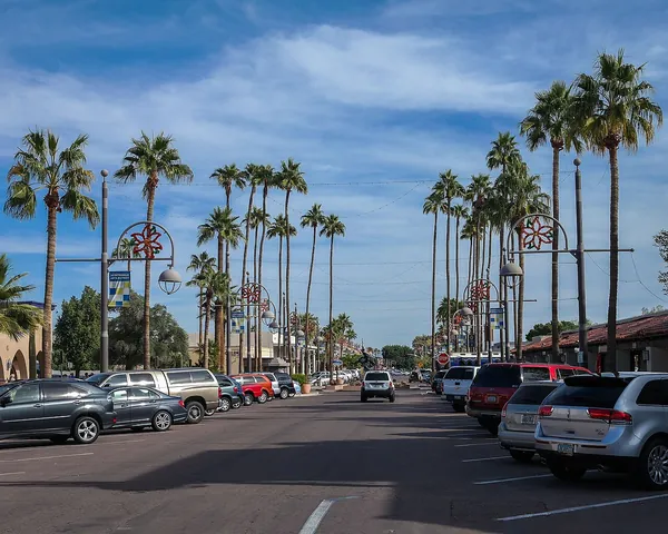 Palm trees lining Main Street in Old Town Scottsdale