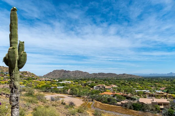 A tall saguaro cactus above the desert and city on Camelback Mountain