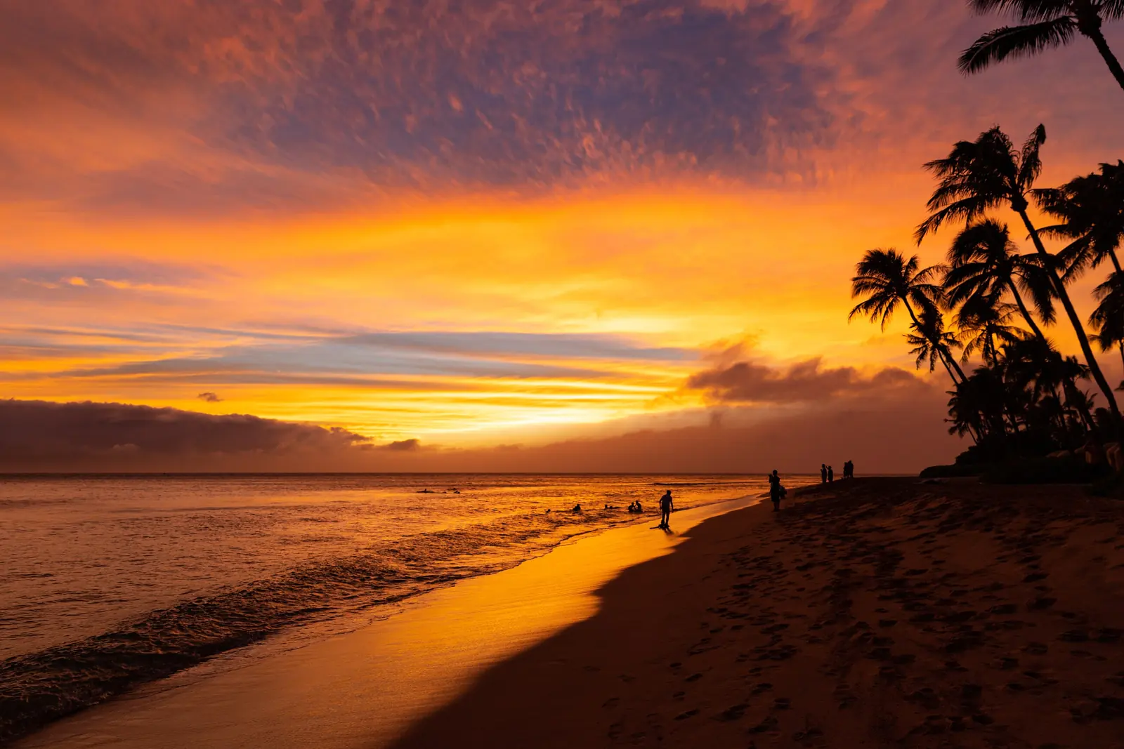 Palm trees silhouetted against a golden sunset on Kaanapali Beach, Maui