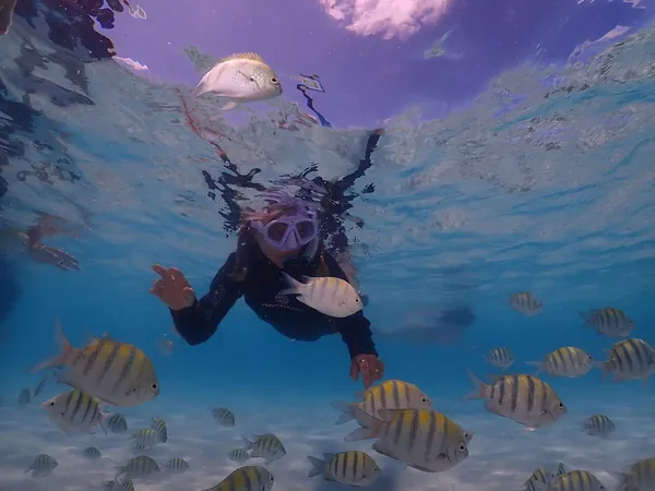 Snorkeler among striped fish at Ocean Cay MSC Marine Reserve