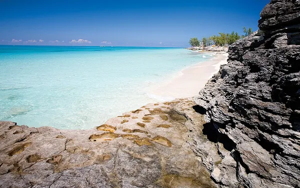 Turquoise water and white sand on the shore of Bimini, The Bahamas