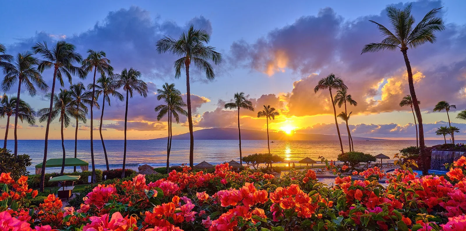 Sunset over the ocean with palm trees and bougainvillea on Maui, Hawaii