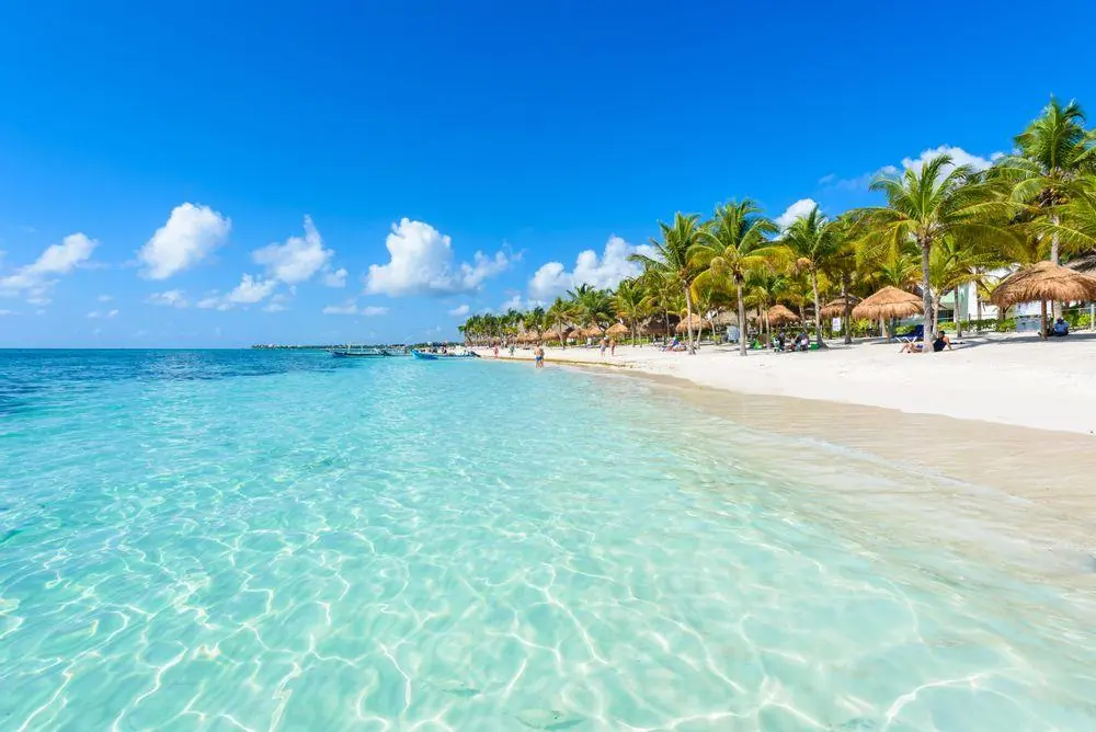 Calm, crystal-clear turquoise water and a palm-lined white-sand beach in the Riviera Maya